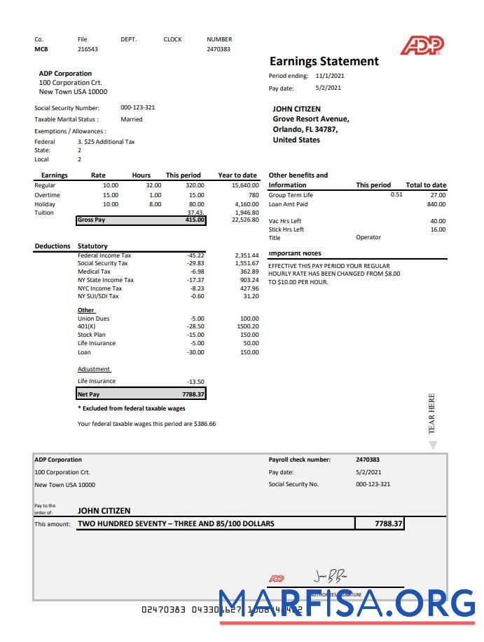 Blank USA ADP Earnings statement excel sample